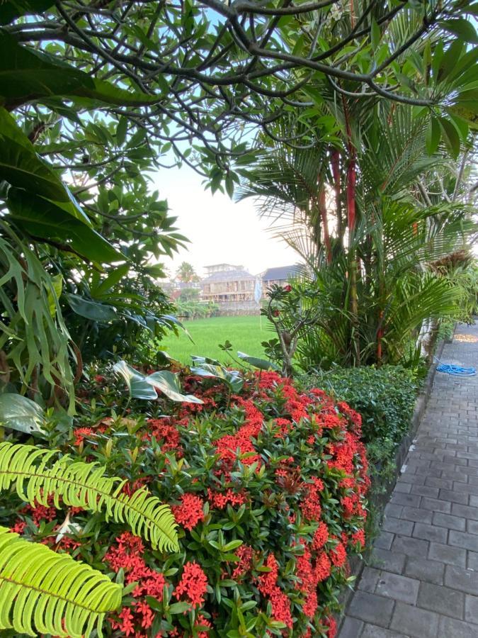 Krisna Homestay Canggu Dış mekan fotoğraf